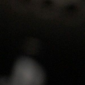 Meet your Posher, Griffin